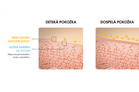 Grafické znázornenie rozdielu medzi detskou kožnou bariérou a bariérou dospelého.