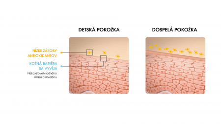 Grafické znázornenie rozdielu medzi detskou kožnou bariérou a bariérou dospelého.