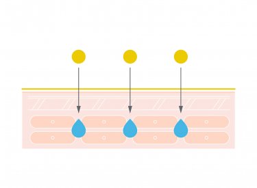 Skin barrier restoration